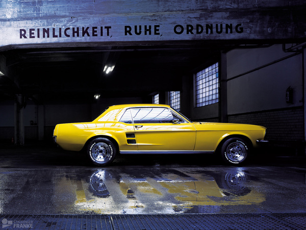 Yellow Mustangs Journey (2011) by Staudinger+Franke_00