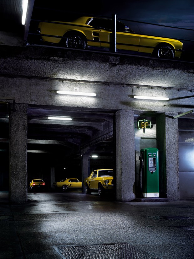 Yellow Mustangs Journey (2011) by Staudinger+Franke_Apollo2_full