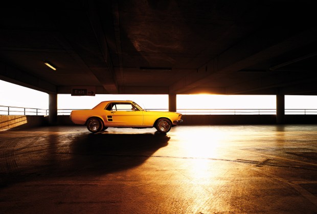 Yellow Mustangs Journey (2011) by Staudinger+Franke_Geneve2_full