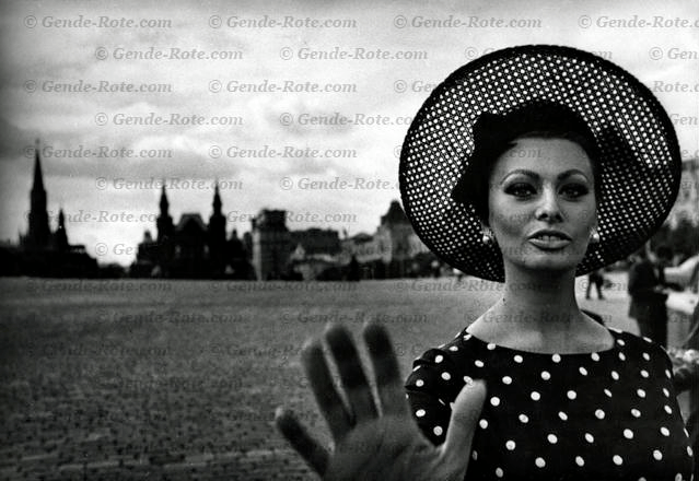 Sophia Loren