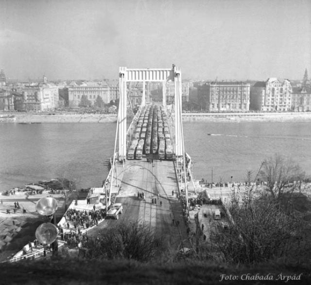 Erzsébet híd, Budapest