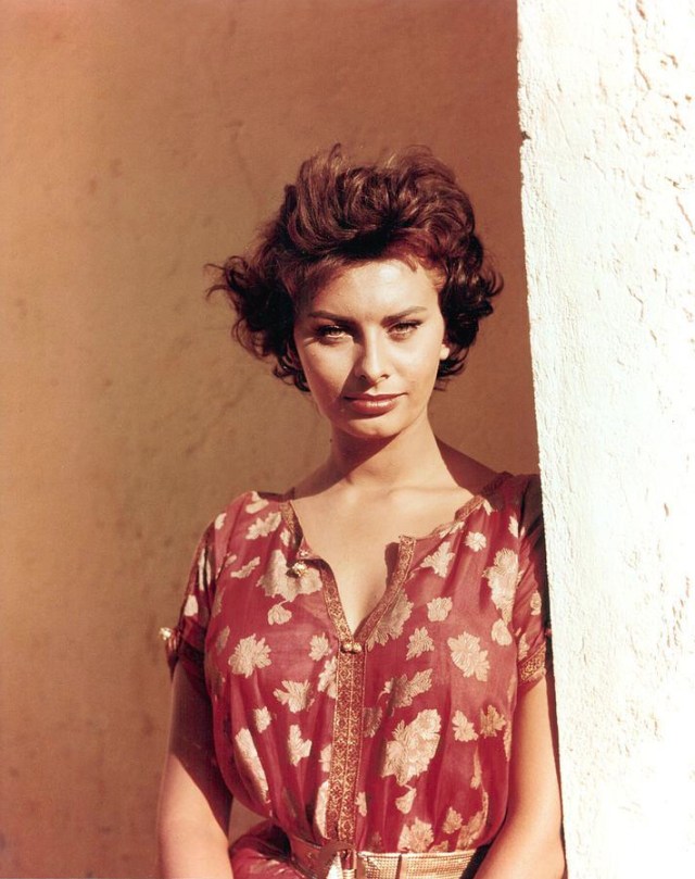 Sophia Loren